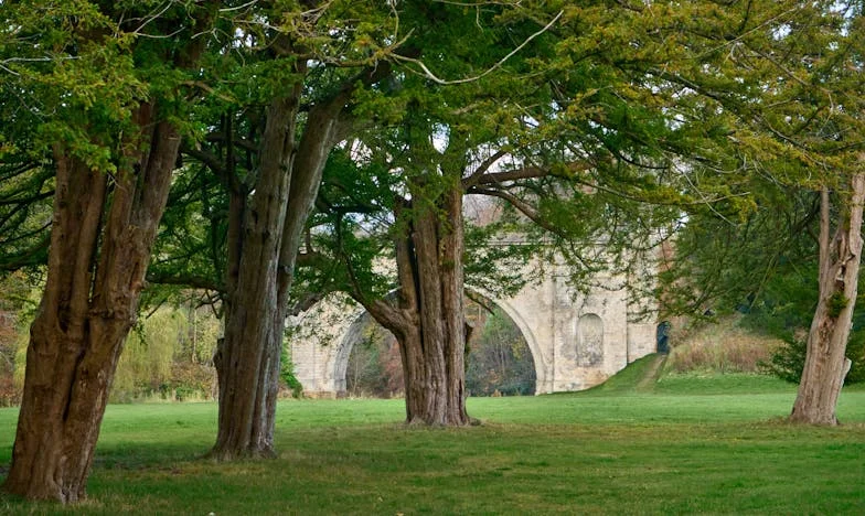 Nunca fuimos un cuento de hadas: Mi verdad con Daniel