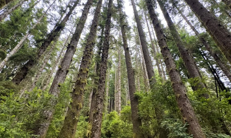 ¿Por qué siempre pago yo? – Confesiones de una mujer española sobre el dinero en pareja