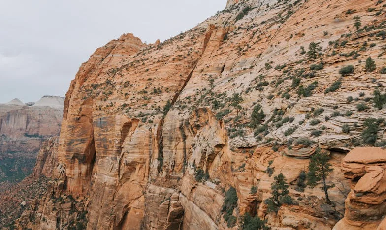 Una mentira, mil heridas: La historia de una madre traicionada por su hija