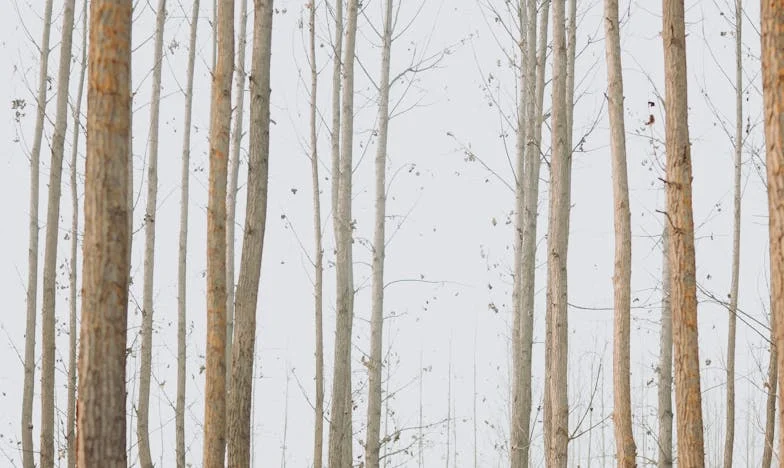 Volví a casa con mi hijo recién nacido... y un vacío insoportable