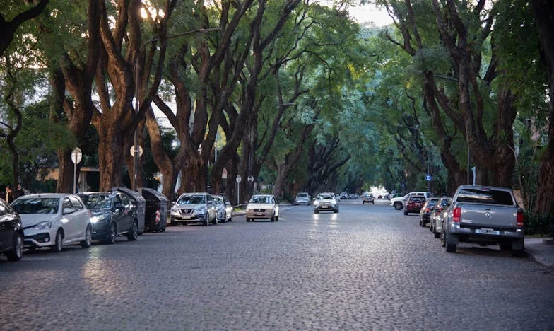 Abuela de Todos, Menos de Mis Hijos: El Dolor de Sentirse Segunda