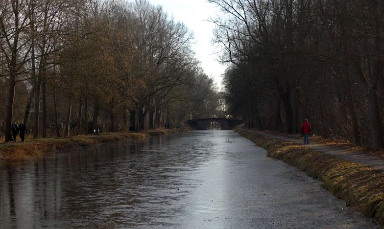 Cinco minutos, una taza de té y el silencio que rompió mi matrimonio