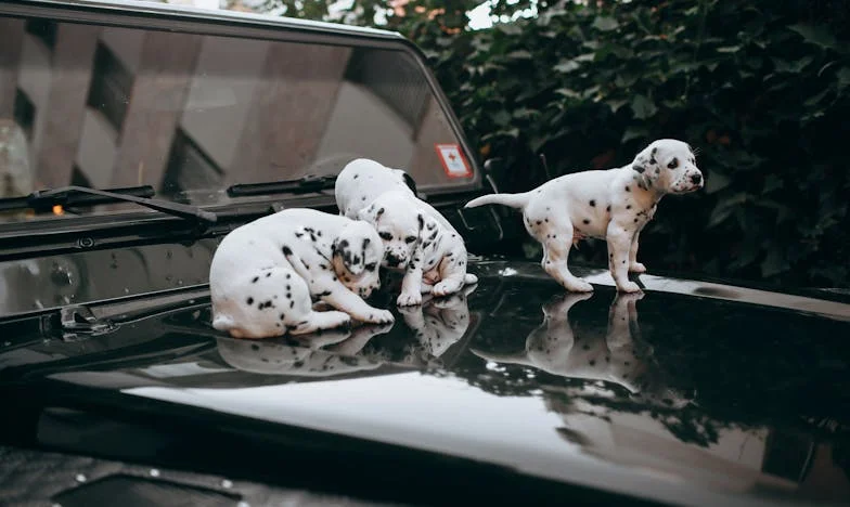Cuando el mundo se pone en tu contra: Mi madre y mi ex contra mí