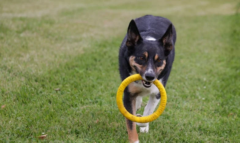 Cuando la familia te da la espalda: Mi vida entre el silencio y la rebeldía