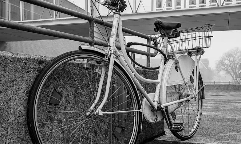 Cuando los sueños de libertad se convierten en pesadilla: La historia de una nuera y su privacidad perdida