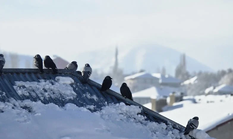 Cuando mi marido me echó de casa: La soledad dentro del matrimonio