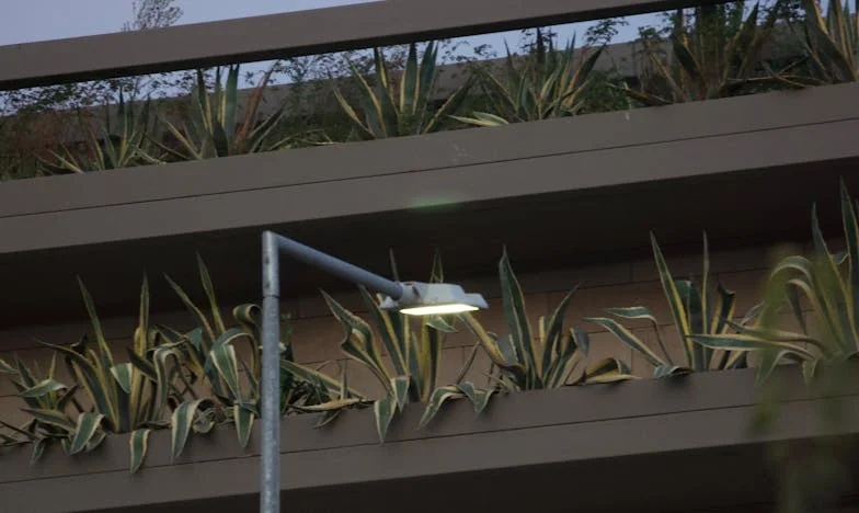 El último brindis: La noche en que todo cambió