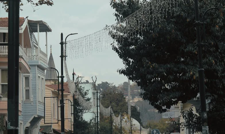 Entre el amor y el deber: La visita de Carmen