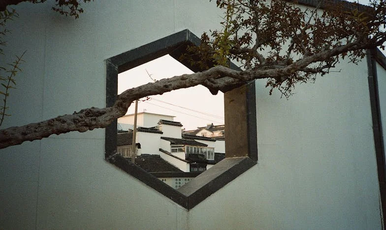 Expulsada por mi propio hogar: Diez años después, cuando la herida vuelve a sangrar