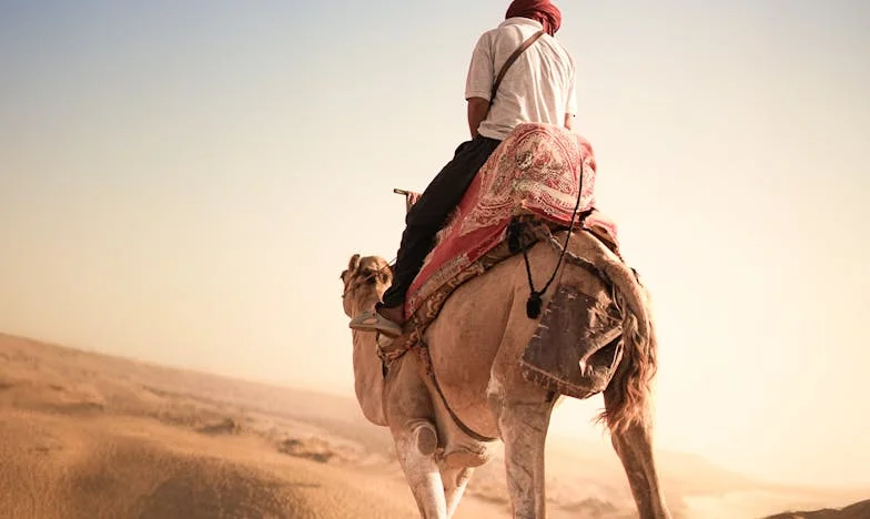 La Sombra de la Suegra: Cuando el Amor se Convierte en Guerra