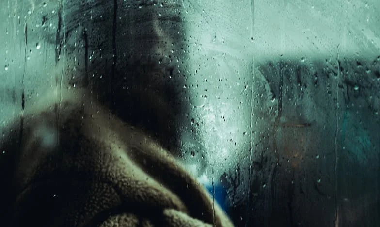 Las rosas que nunca fueron mías