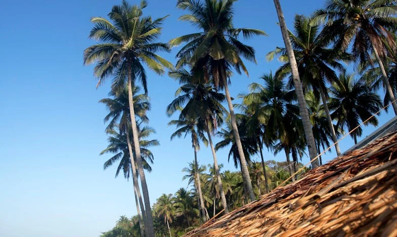 Las sombras de la ausencia: El regreso de mi padre tras veinte años