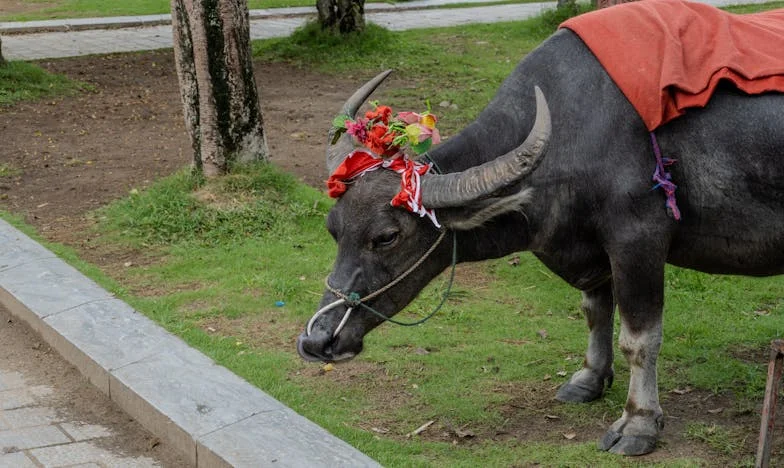 "Mamá, esta es mi hija": El día que mi hijo adolescente cambió mi vida para siempre
