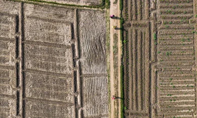 «Mamá, no me caso» – Confesiones de una hija española que rompió su boda en el último momento