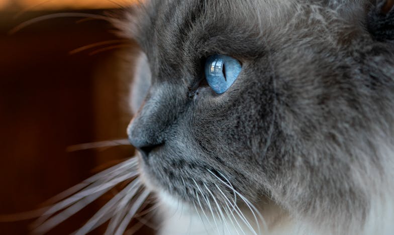 Mensajes inesperados en el móvil de mi marido: Entre la duda y el perdón – Confesiones de una esposa española