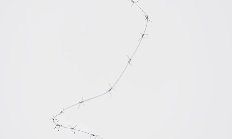 Cuando la familia política se convierte en enemiga: Mi lucha por mi hija y la paz familiar