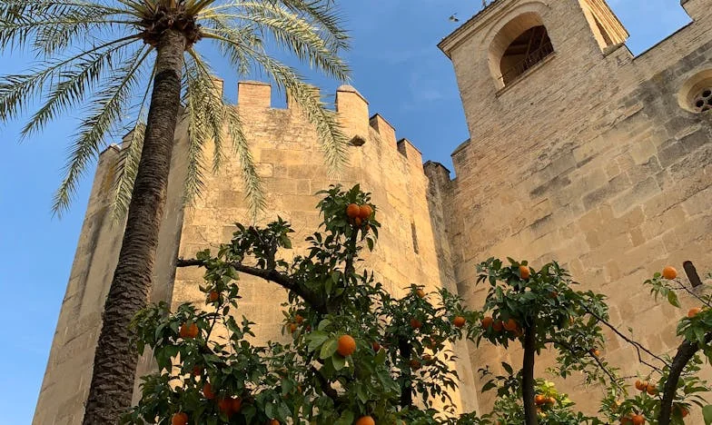 Cuando Mamá Decide por Todos: Mi Lucha por Recuperar a Mi Familia