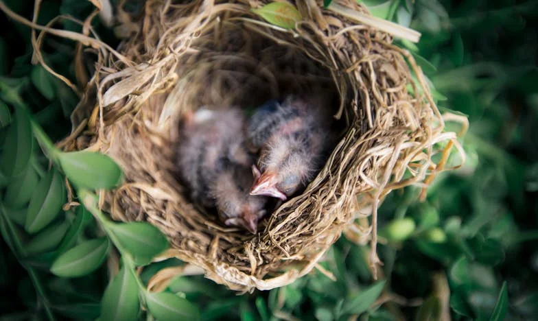 Cuando mi hija solo me llama por dinero: El dolor de una madre española