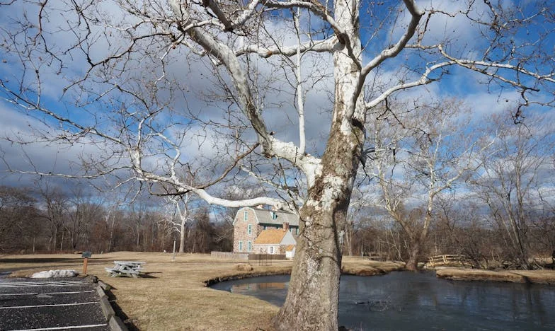 Herencia envenenada: Cuando la casa de la abuela se convirtió en nuestro campo de batalla familiar
