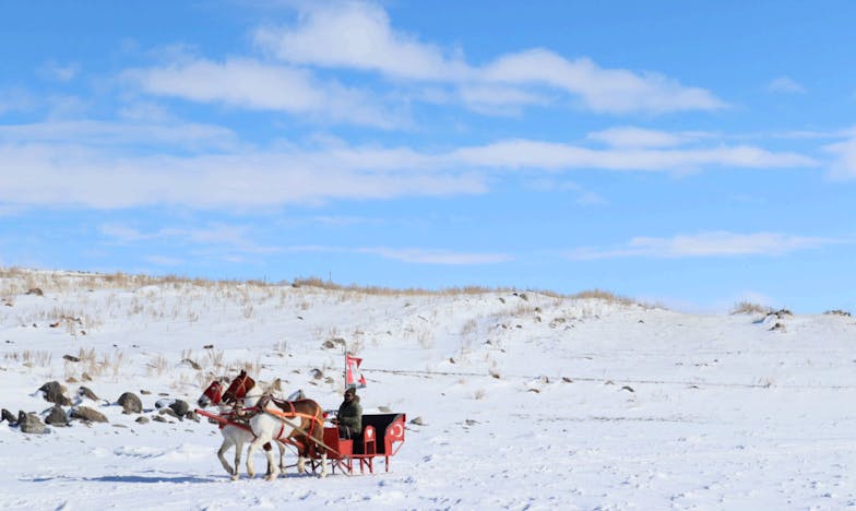 La boda de cinco euros y el precio de la felicidad: Mi lucha por el amor y la familia