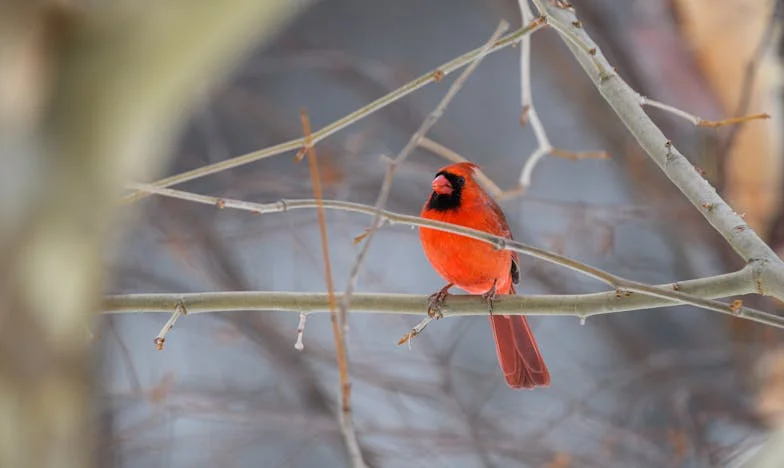 Le entregué todo, incluso mi alma: Mi lucha por la libertad tras años viviendo a la sombra de mi marido