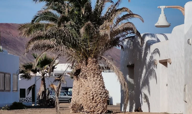 “No necesito tu opinión. Esta es la casa de mi hermano, y para mí eres una extraña”: La historia de una familia dividida por el regreso de una hermana