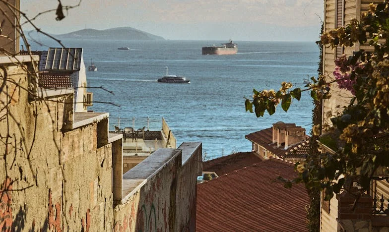 No puedo mentir bajo la sombra de mi verdad