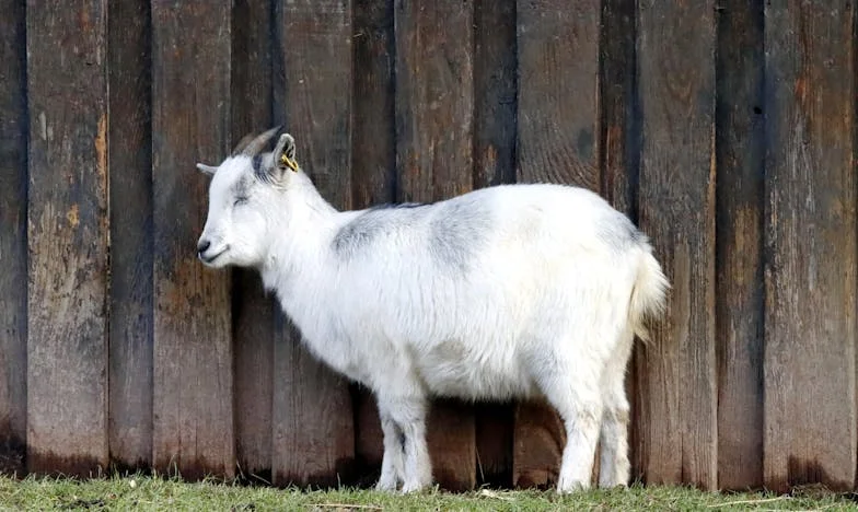 “No soy un okupa, solo quiero un hogar digno”: La historia de cómo mi hija nos enfrentó a nuestra propia hipocresía