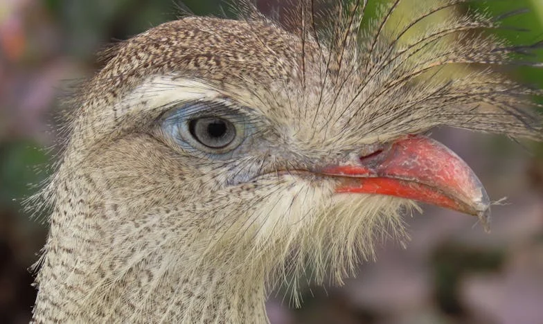 “¡Ven a buscar a tu hija ya!” — El día en que mi familia estuvo a punto de romperse