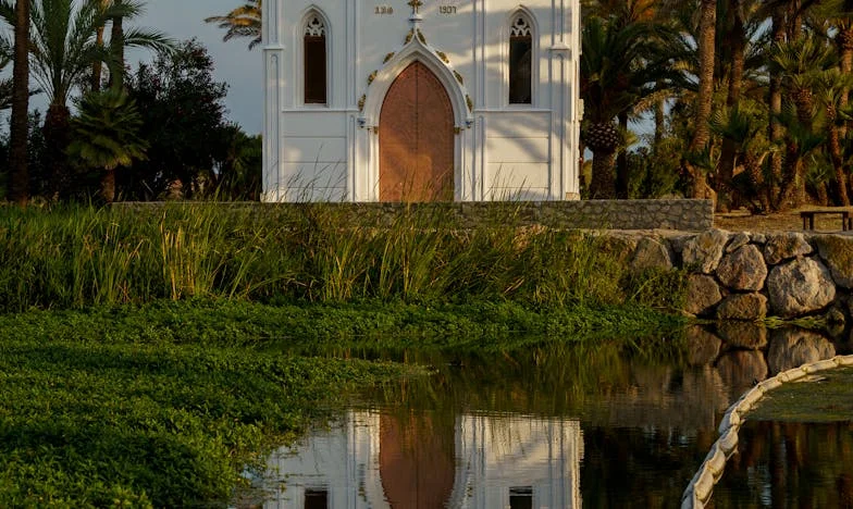 El testamento de mi marido: la herencia que destrozó a mi familia