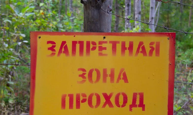 Siempre fui la que calmaba las tormentas en mi familia… hasta que me rompí