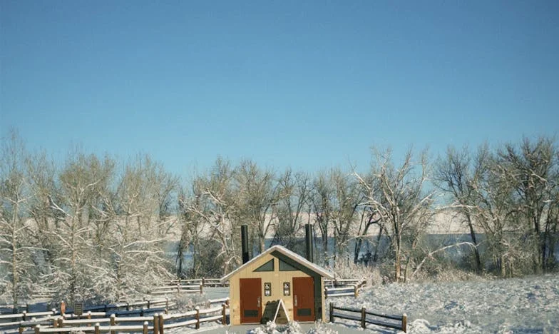 Cuando las abuelas chocan: La batalla por la primera visita a mi hija