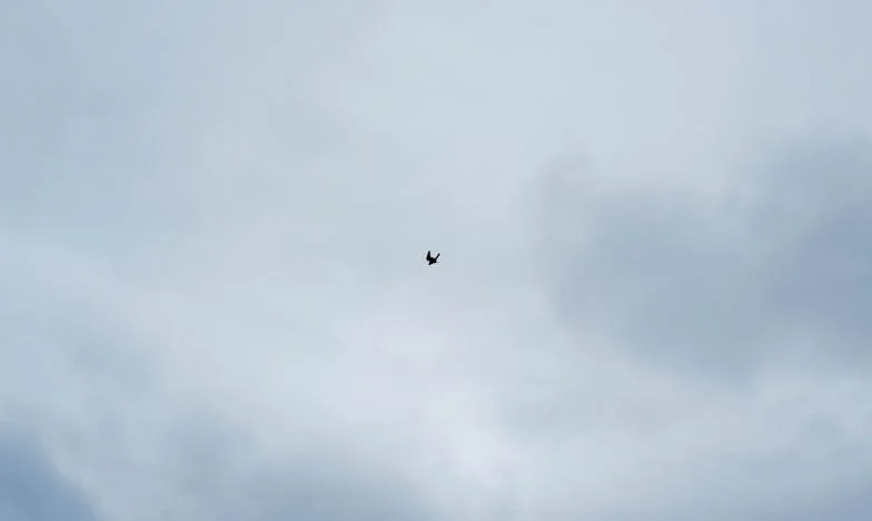 Eché a mi madrastra de casa tras la muerte de mi padre: ¿fui cruel o hice lo correcto?