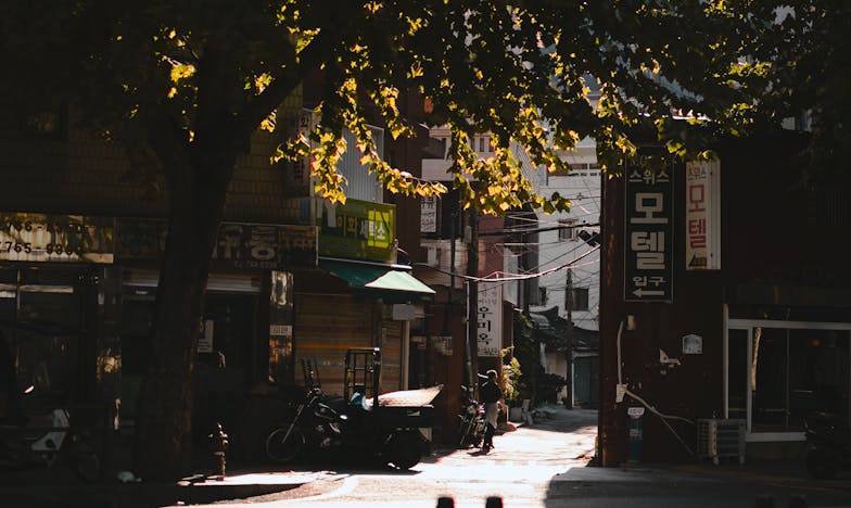 Entre dos familias: La Nochebuena que desgarró mi corazón