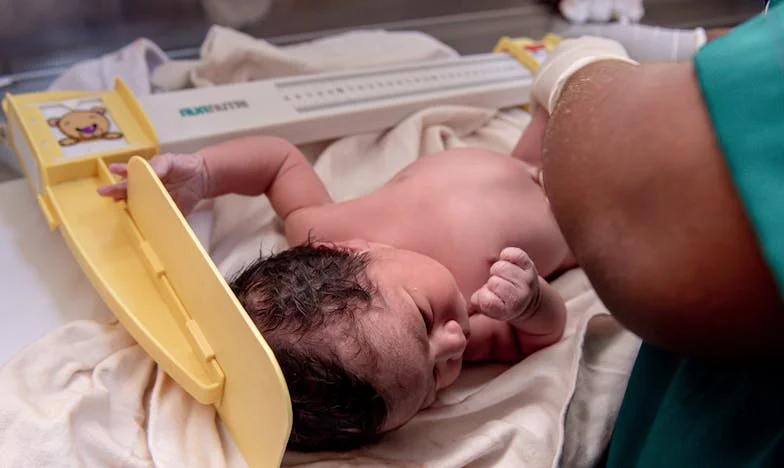 Nuestra casa, pero no nuestra: Una familia, un hogar, una traición