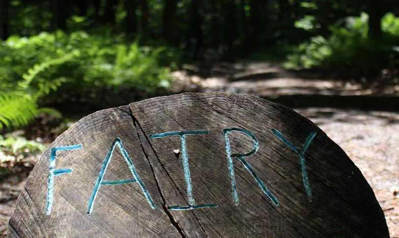 "Nunca imaginé que vivir con mi suegra cambiaría mi vida para siempre"