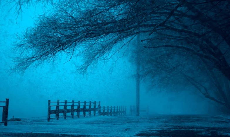 Un secreto en la noche: La confesión de mi madre que cambió mi vida para siempre