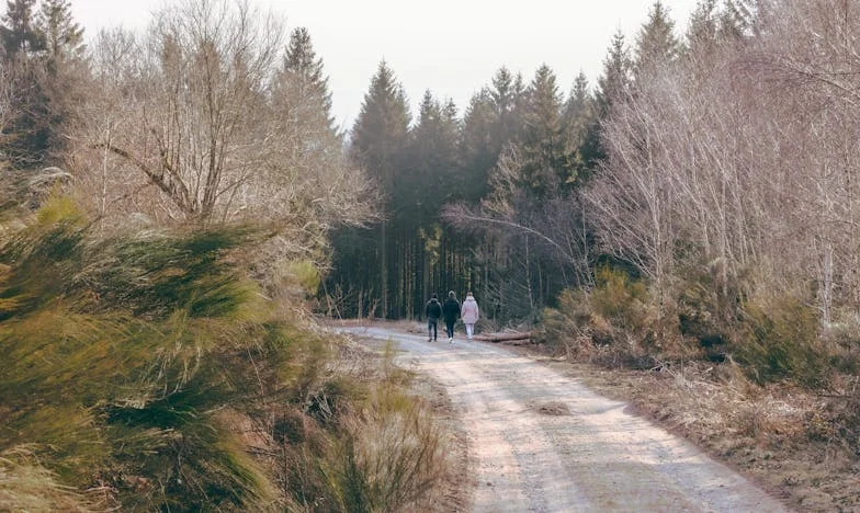 La herencia de mamá: el día que mi familia se rompió para siempre