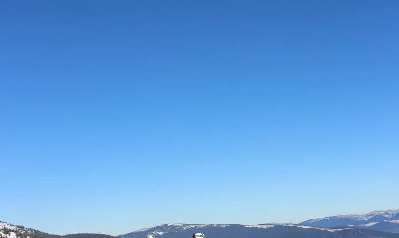 ¿Por qué entraste en nuestra casa sin permiso, Carmen? – Un drama familiar en Madrid