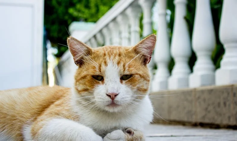 Mein Vater, sein Versprechen und der Verrat: Wie ein Kredit mein Leben veränderte