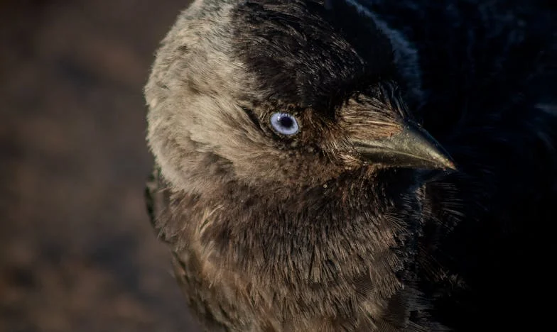 Acht Jahre Ehe: Mehr als nur die Haushälterin in meiner eigenen Familie