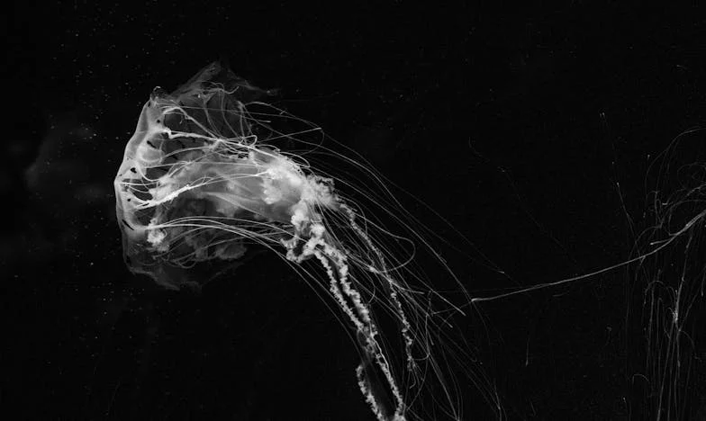 Das Erbe, das zwei Familien entzweite: Eine Geschichte von Liebe, Gier und Vergebung