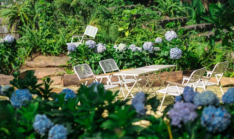 Das Erbe der Stille: Als Oma mir die Wohnung hinterließ und die Familie zerbrach