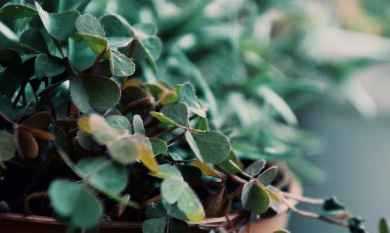 „Deine Tochter fährt nicht mit ans Meer, aber ich brauche trotzdem Geld für den Ausflug“, sagte Oma – Eine Familiengeschichte zwischen Sehnsucht und Streit