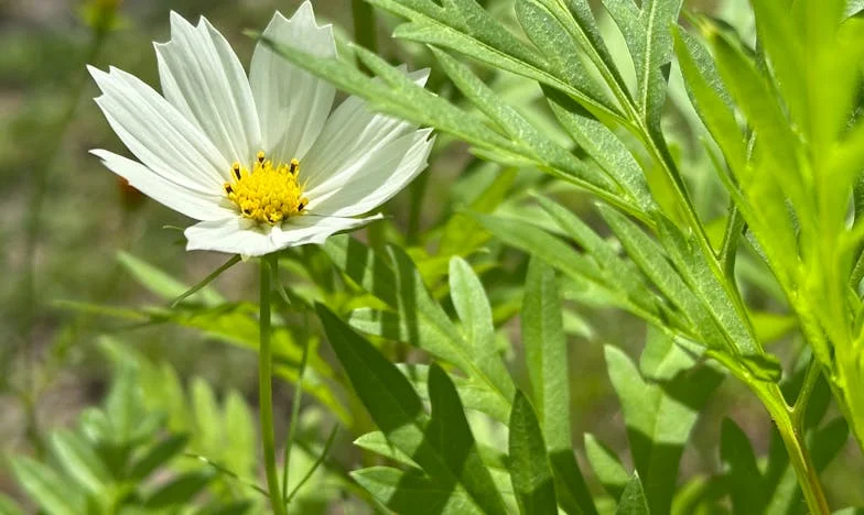 Der Faden, der reißt: Eine Mutter zwischen Liebe und Schweigen
