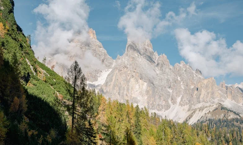 Die Gurken, die alles veränderten: Ein Sommer voller Konflikte und Erkenntnisse