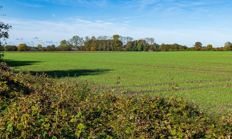 Die Tränen von Lotte: Ein Tag, der alles veränderte