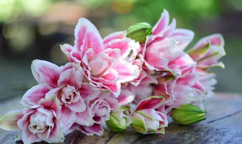 Hinter verborgenen Kameras – Mein Kampf um Vertrauen als Mutter