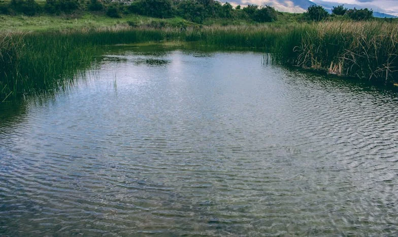 „Unsere Tochter ist uns fremd geworden: Wie ein Schwiegersohn eine Familie zerreißt“