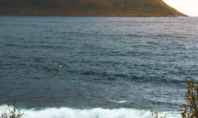 Wenn das Herz nicht vergeben kann: Die Geschichte einer Mutter, die mit ihrem Kind ging